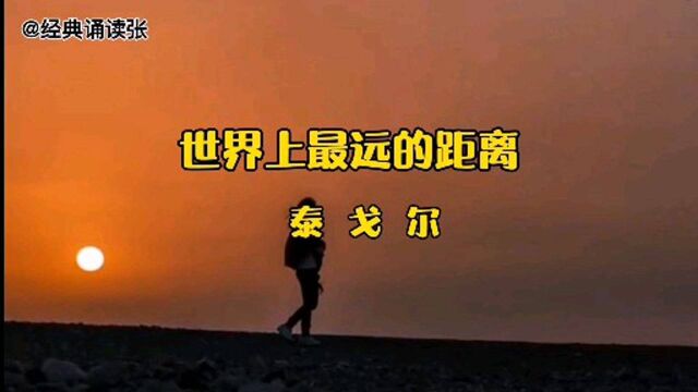 经典诵读泰戈尔《世界上最远的距离》:真正的爱情总是有缺憾的