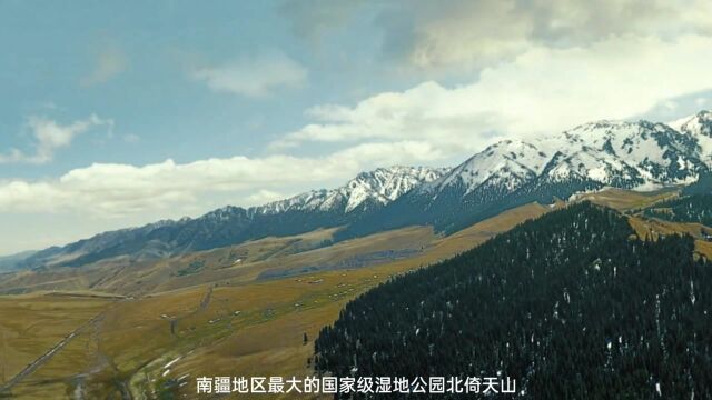 绿水青山就是金山银山,在这里扎根!