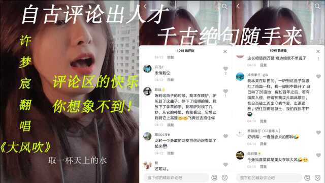 网红许梦宸翻唱《大风吹》,评论区都是段子手,美女都不看了