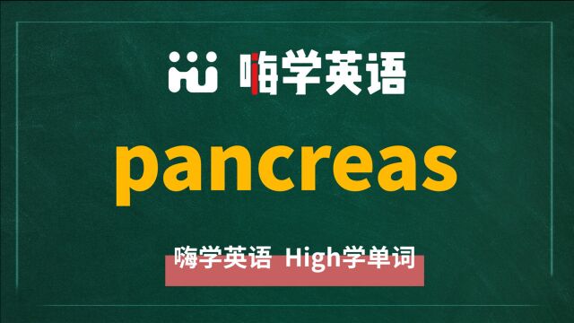 一分钟一词汇,小学、初中、高中英语单词五点讲解,单词pancreas讲解