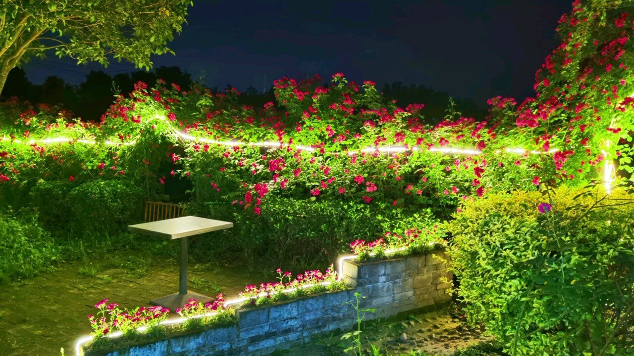 余家巷子「小坝子」花园如画夜景!911595