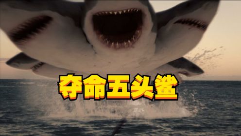见过5个头的鲨鱼吗？美国出现基因变异鲨鱼，一口咬掉直升机