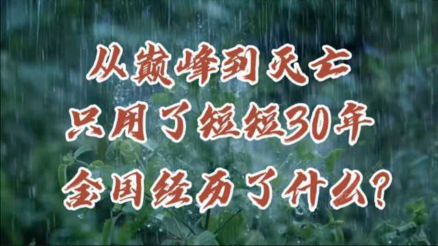 从巅峰到灭亡只用了短短三十年,金国经历了什么?