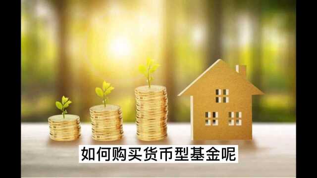 如何购买货币型基金呢?这些方法与技巧你都掌握了吗?