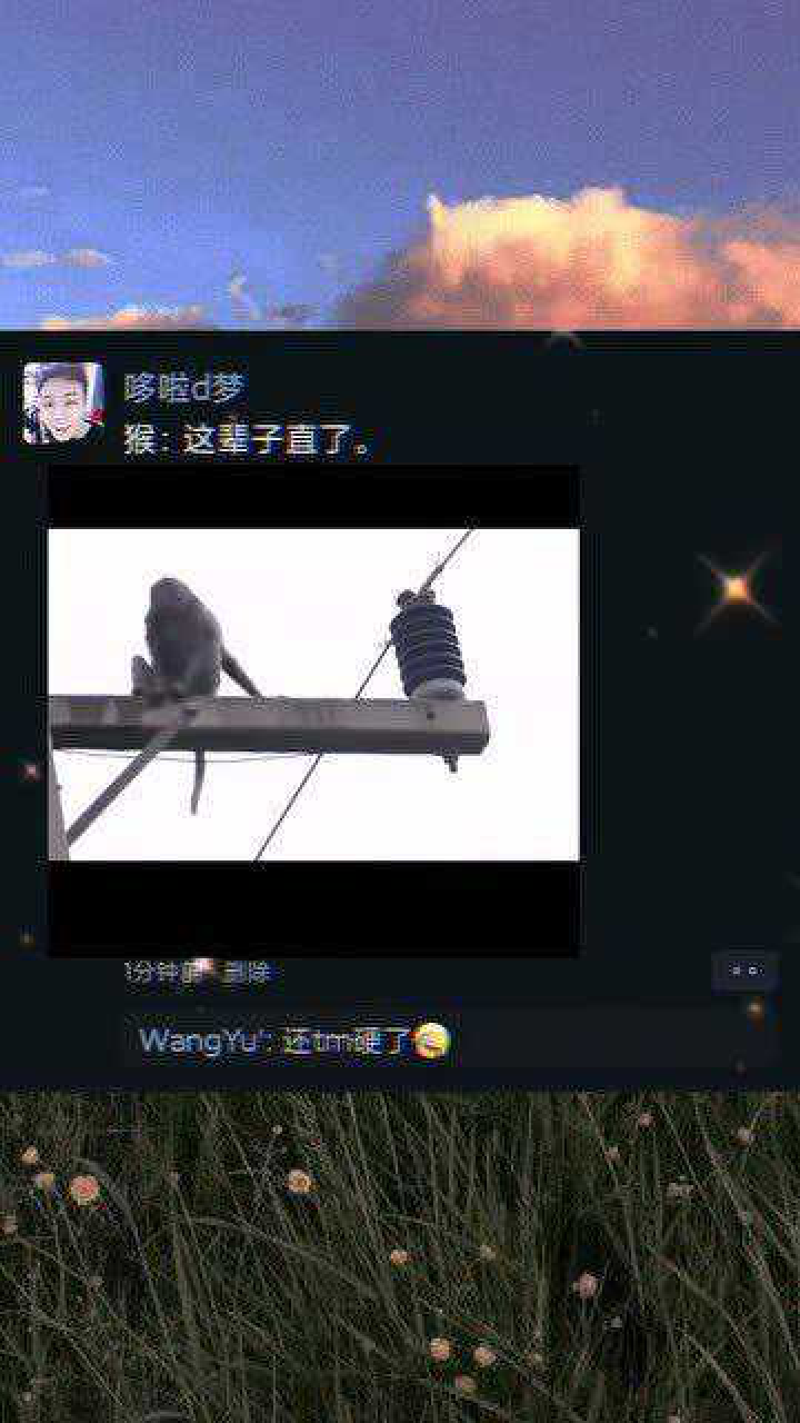 猴子这辈子直了