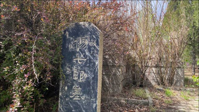 杨七郎被乱箭穿心后,沿河逆流到一山村,百姓为他建了一座七郎墓