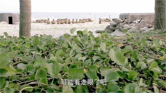 解放海南岛:一片草在动,国军以为眼花,不料草下全八路,完蛋了