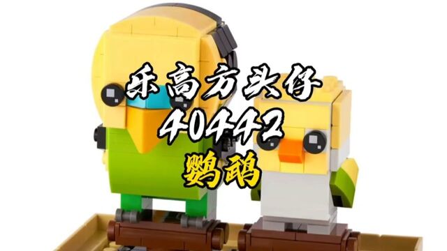 乐高ⷦ–𙥤𔤻”系列宠物主题新套装40443鹦鹉测评!