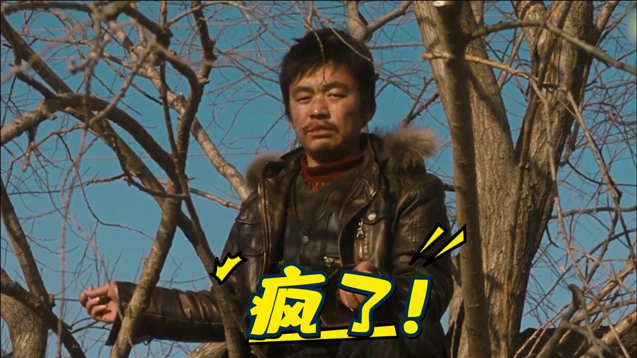 hello树先生王宝强演技神片住在树上被绿疯了农村老实人的悲惨一生