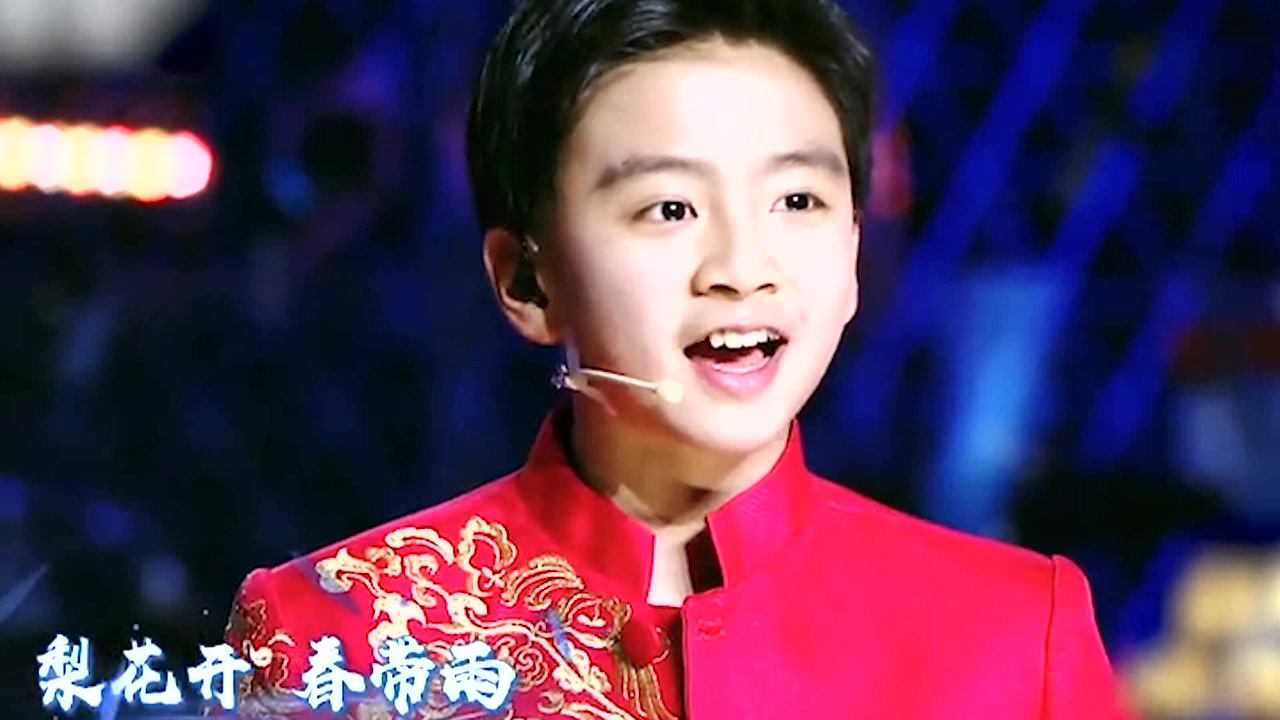 京剧名段欣赏《梨花颂》,看帅气小男孩王泓翔如何演绎!这段你会唱吗?