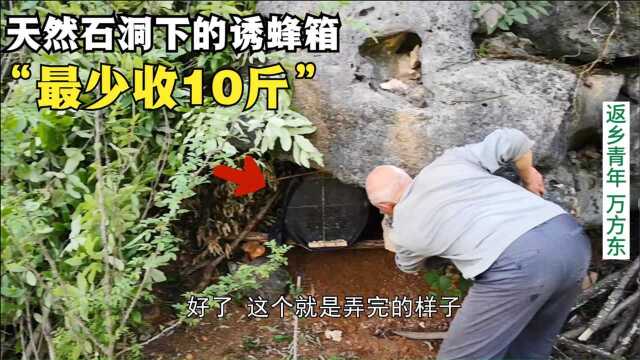 湖北 十堰 三农 农村 生活 感情 蜜蜂 返乡青年万方东:秦岭大山养蜂的环境太好了,看这位置和蜜源,今年10斤野蜂蜜稳了