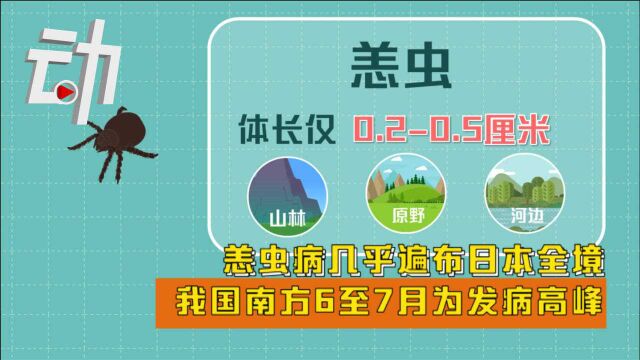 恙虫病几乎遍布日本全境 我国南方6至7月为发病高峰