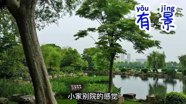 一起去武汉网红公园,有湖有景