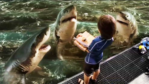 男孩从小给鲨鱼喂食，却意外跌入大海，鲨鱼群救了他！