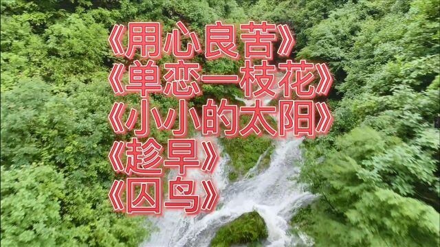 张宇经典歌曲《用心良苦》《单恋一枝花》《小小的太阳》《趁早》《囚鸟》