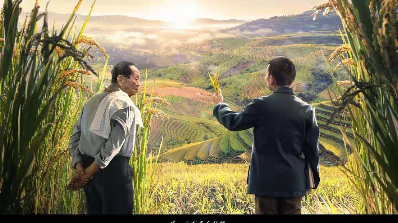 禾下乘凉梦,一梦逐一生
