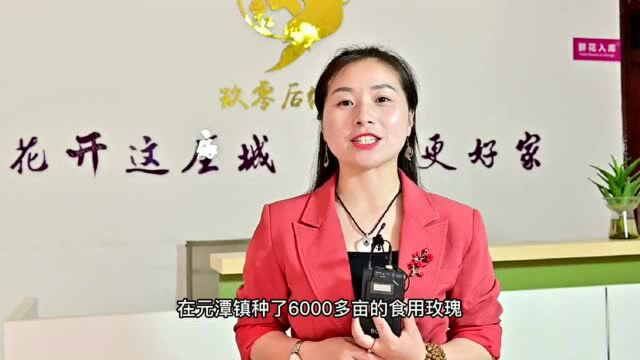 小康,安逸噻② | 南江“玫瑰姑娘”的“香”村振兴