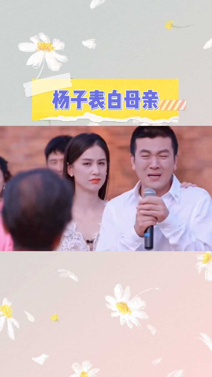 杨子表白母亲