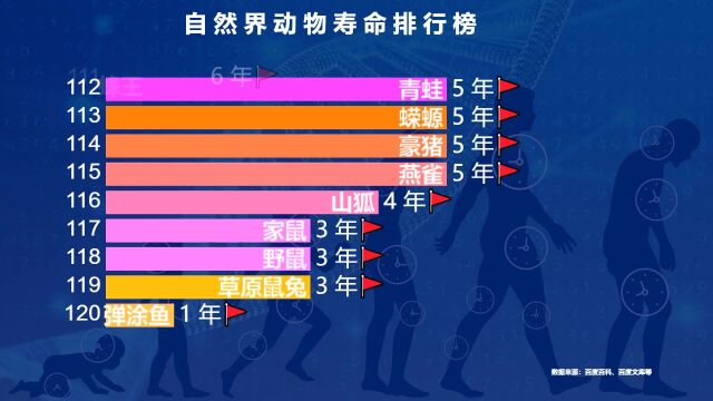 自然界动物寿命排行榜TOP 120,海龟仅排第2,人类勉强进入前十名,第一名可以活1500岁