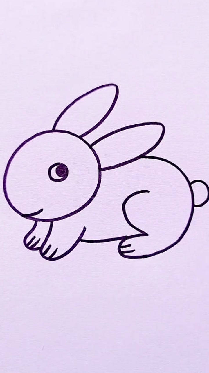 这样画兔子秒回