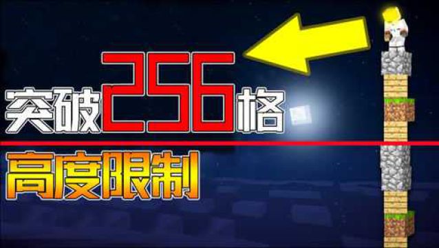 我的世界:教你突破256格高度限制(无MOD)