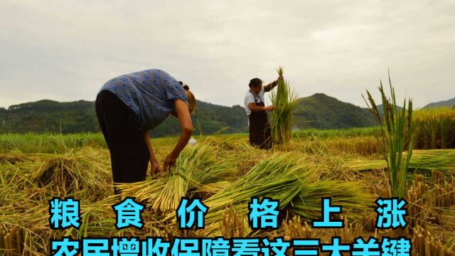 粮食价格要涨到多高,农民才能增收?增收的保障主要看这三大关键