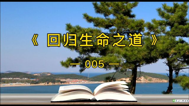 活出真实的自己,就是成功《回归生命之道》