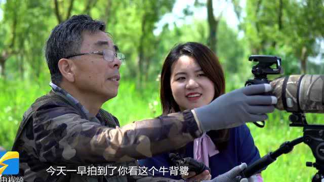 畅游德州齐河黄河水乡国家湿地公园 在“天然氧吧”里邂逅夏日好风光