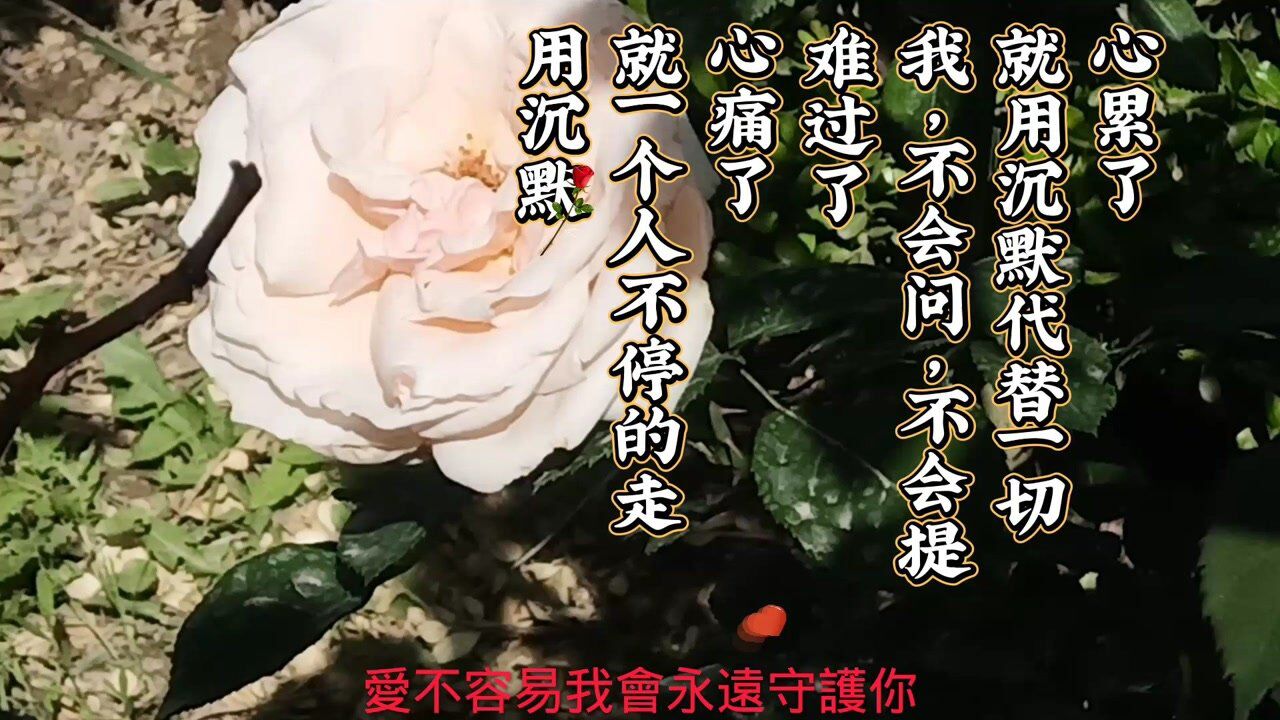 心累了,就用沉默代替一切 我不会问,不会提