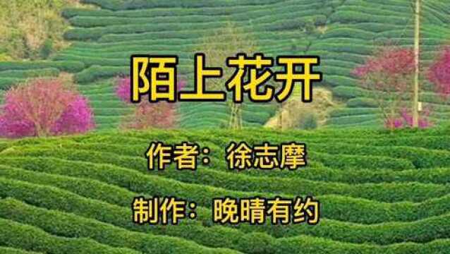 散文朗读:陌上花开