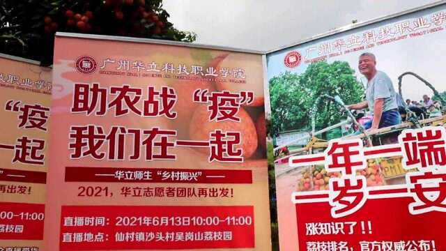 广州华立科技职业学院:助农战“疫”,我们在一起