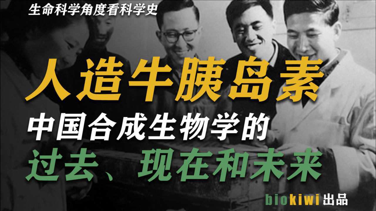 【科技自立】1965年人工合成牛胰岛素——中国合成生物学高调的第一步