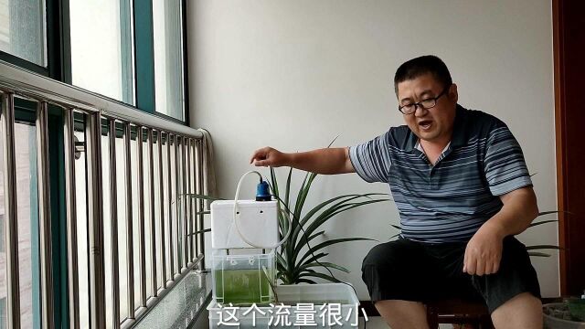 鱼友:鱼缸泵吸小鱼怎么办?看看我这个鱼缸泵的解决方法