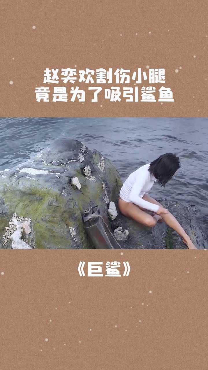 赵奕欢被困礁石竟割伤小腿吸引鲨鱼巨鲨