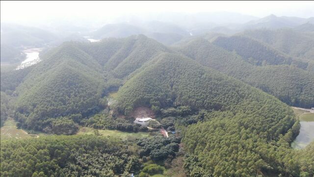 广东肇庆岭南的陆家山,至今已有1020年历史,高要不可移动文物