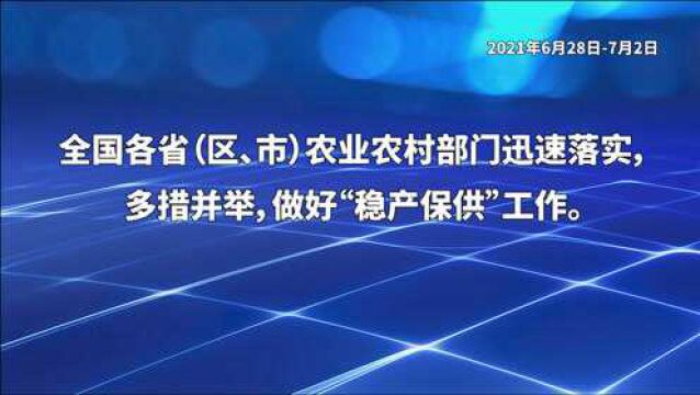 6月28日7月2日全国农业信息概览