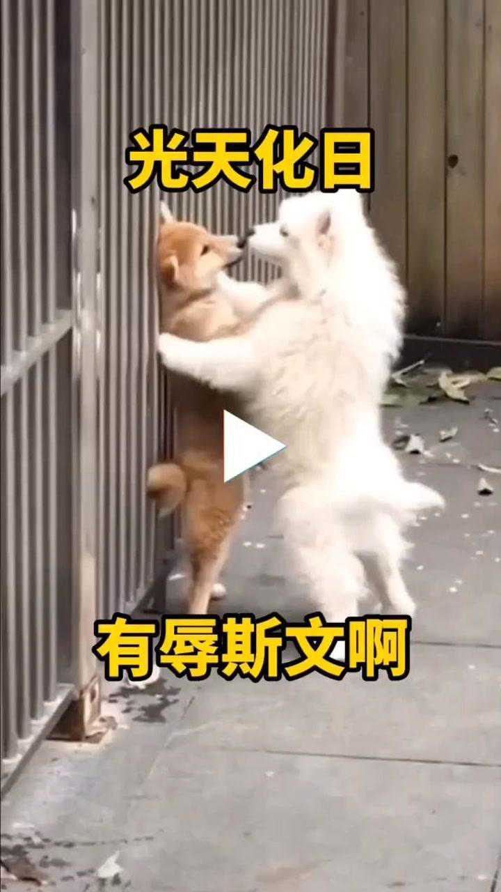 娱乐八点半配音搞笑