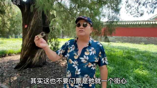 北京天坛马哥,谈菖蒲河公园老年人相亲,看到的和实际很不一样!