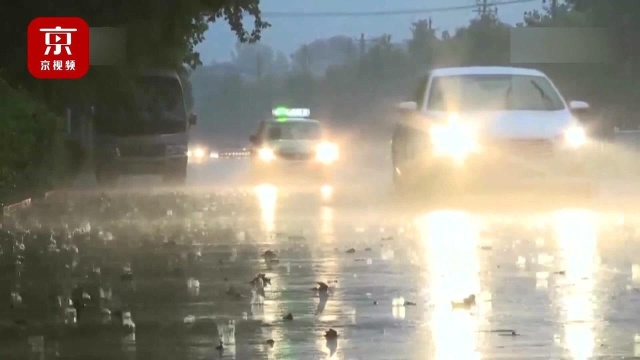 应对强降雨:市防汛办启动黄色预警响应