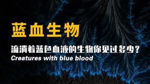 常见的蓝血生物你了解多少？蓝血人真的存在吗？