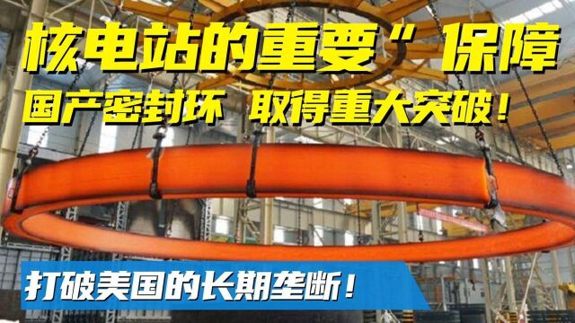 国产核电站密封环再次逆流而上,取得重大突破, 它简直太重要!纪录片