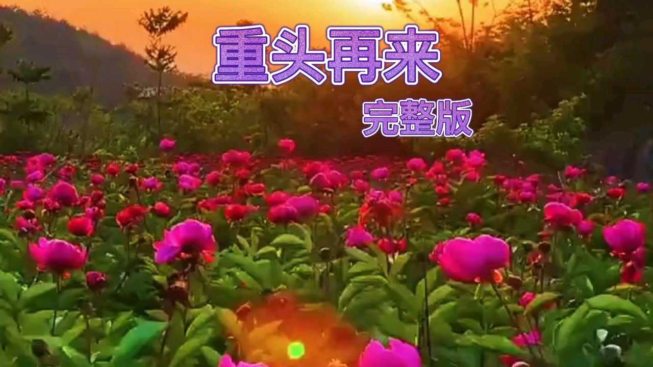 歌曲《重头再来》完整版