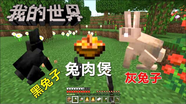 猎兔子制作兔肉煲 我的世界生存实况