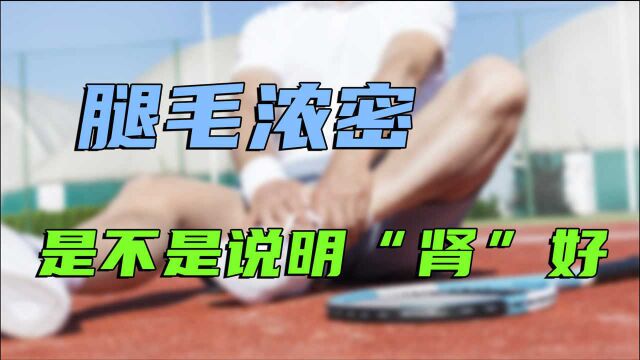 男人腿毛浓密,能说明“肾”好吗?稀疏是不是能力差?答案揭晓