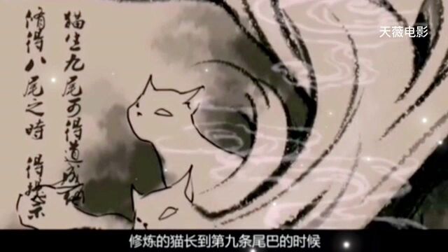 我的愿望是,你能长出第九条尾巴