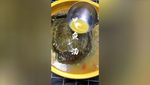 少了甲鱼的胆汁是没有灵魂的