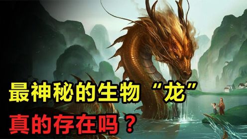 传说中的龙真的存在吗？为何中国人自称龙的传人？详解龙的来历纪录片