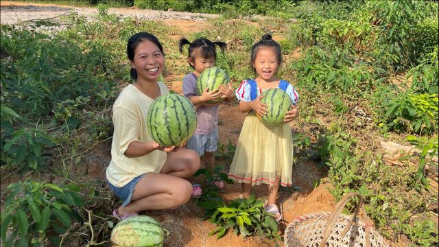 小秀去山上摘西瓜,四个新鲜的大西瓜,孩子们都抱不动了