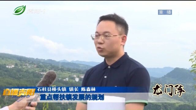 直播贵阳:石柱万亩李子熟啦,采摘游约起!