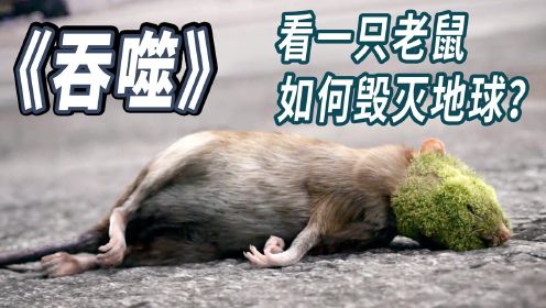 《吞噬》：一只老鼠贪吃，间接毁灭了地球？#电影HOT短视频大赛 第二阶段#